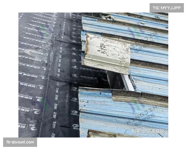 雨战进行时,诺坎普球场部分顶棚出现漏水 雨战进行时,诺坎普球场部分顶棚出现漏水